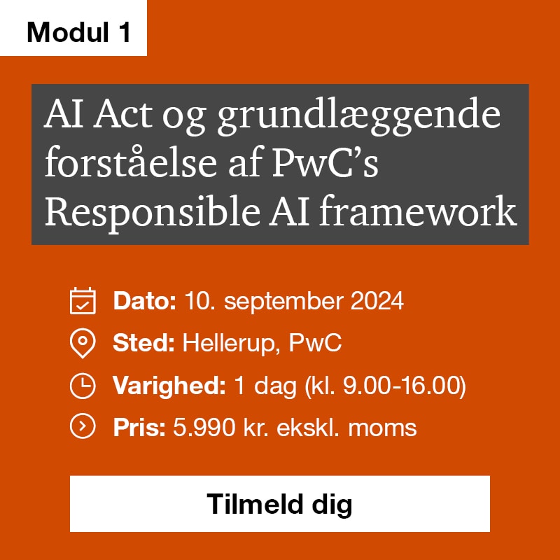 Kursus Ai Act Og Forståelse Af Pwcs Responsible Ai Framework